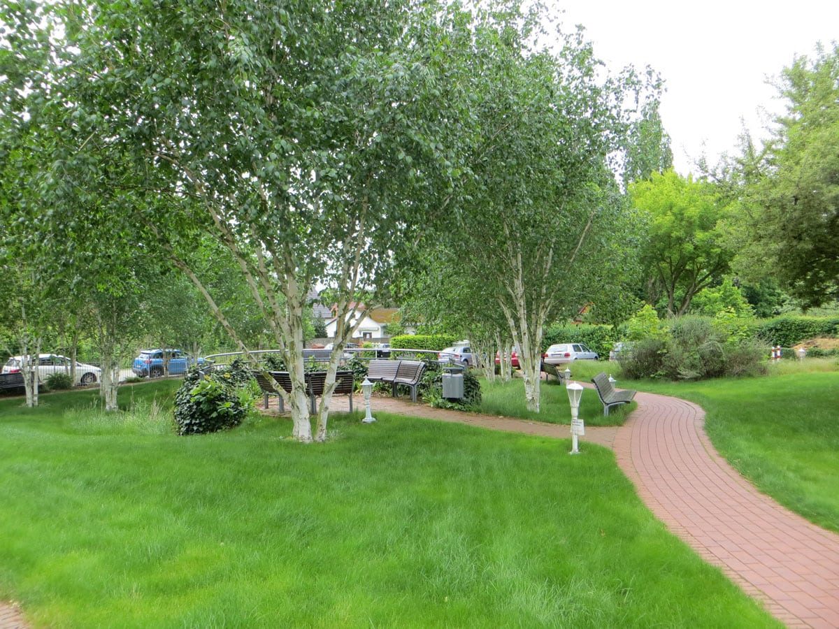 Guenter-Schaefer-Haus-Neuenhagen-Garten (1)